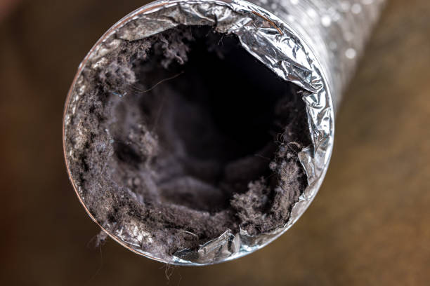 Best Home Air Vent Cleaning  in Silsbee, TX